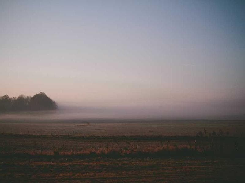 Soft Frozen Wooden Sausages