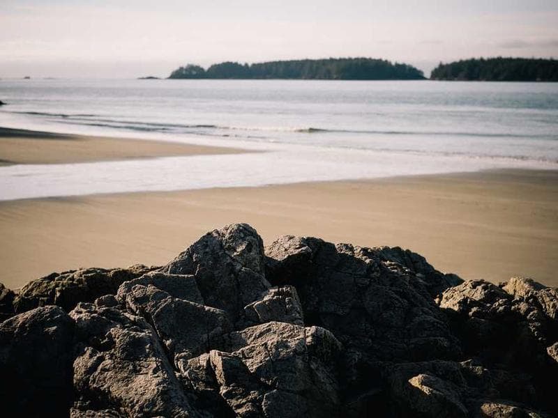 Soft Frozen Wooden Sausages