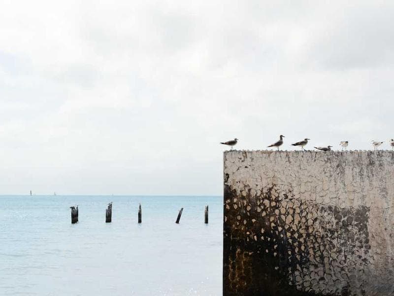 Intelligent Fantastic Bronze Gloves