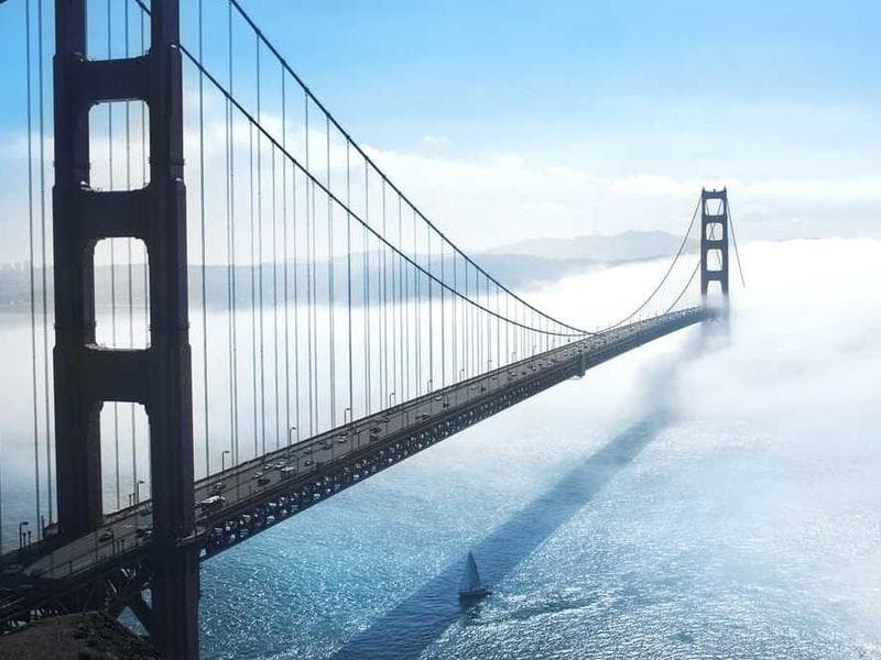 Modern Rustic Wooden Tuna