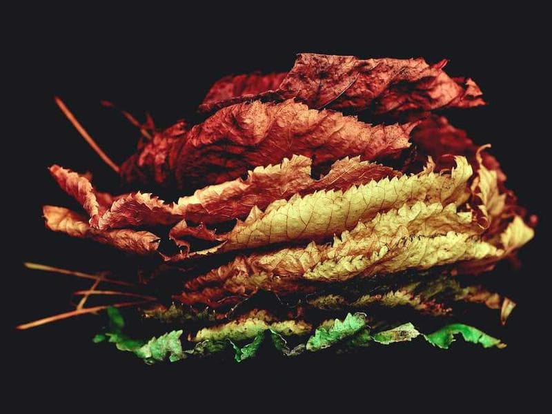 Fresh Electronic Steel Table