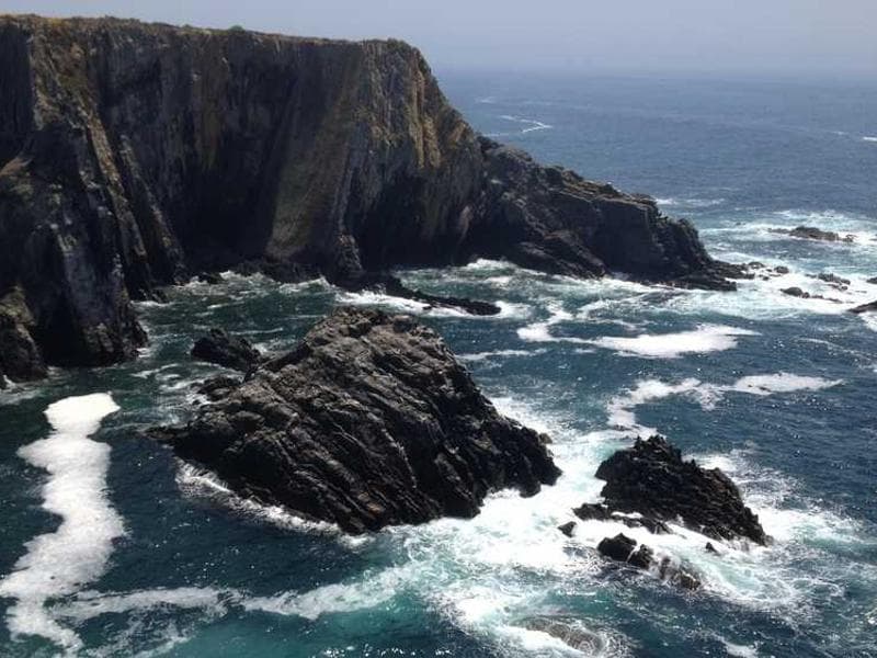 Modern Modern Silk Sausages