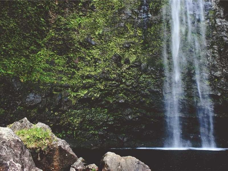 Modern Modern Silk Sausages