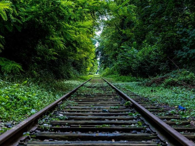 Unbranded Ergonomic Aluminum Sausages