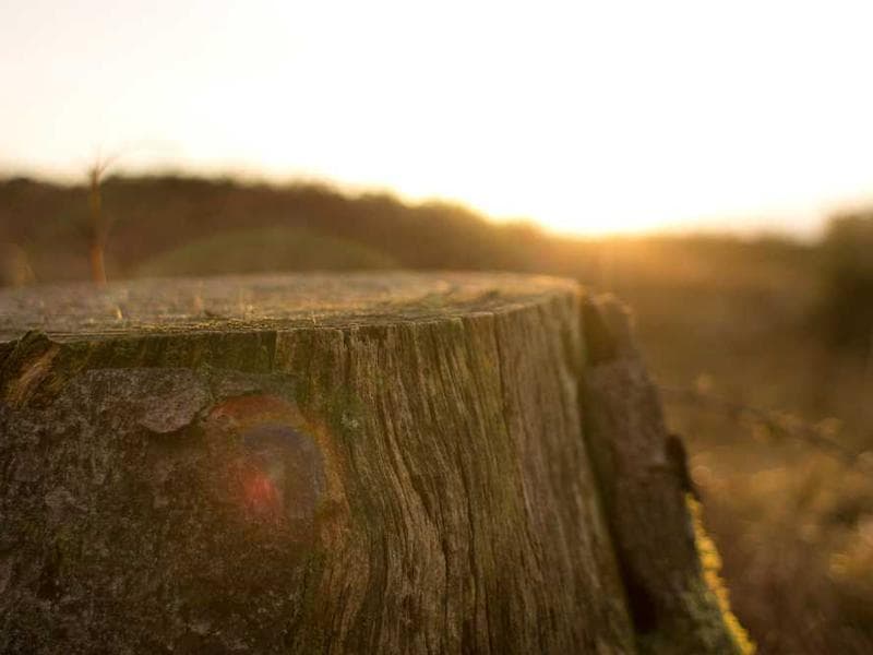 Unbranded Ergonomic Aluminum Sausages