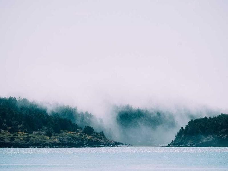 Unbranded Ergonomic Aluminum Sausages