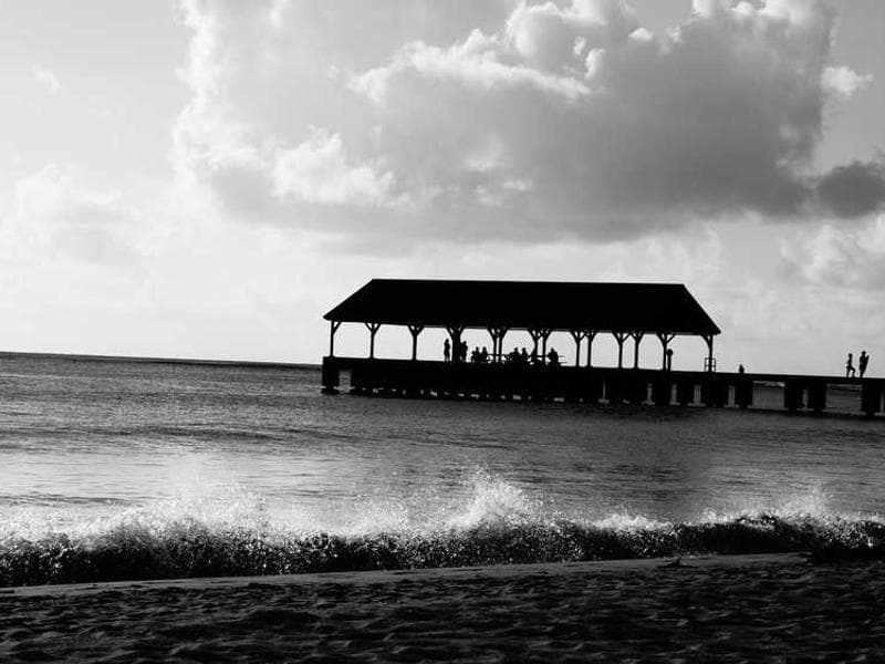 Handmade Practical Steel Bacon