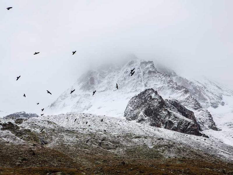 Handmade Practical Steel Bacon