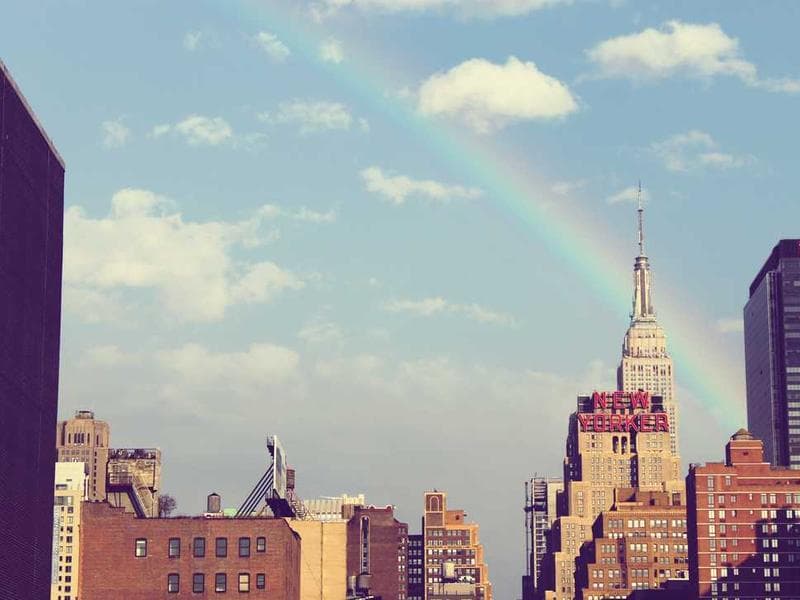 Fantastic Luxurious Concrete Mouse