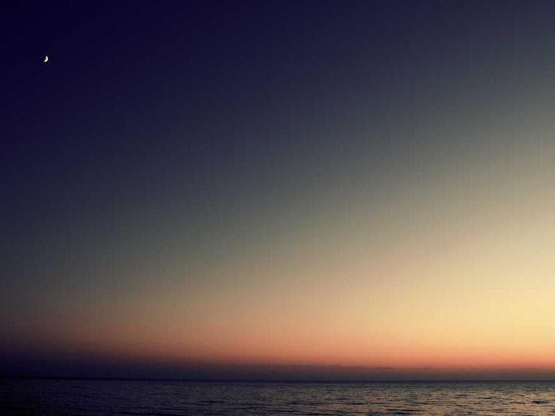 Electronic Elegant Wooden Bacon