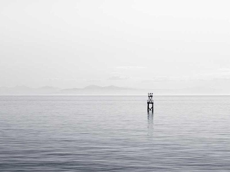 Tasty Soft Aluminum Tuna