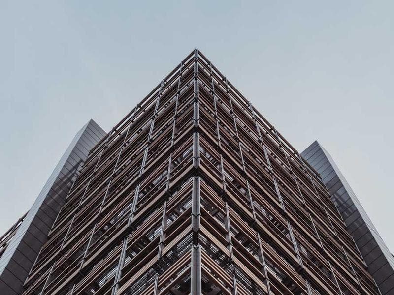 Licensed Rustic Silk Chips