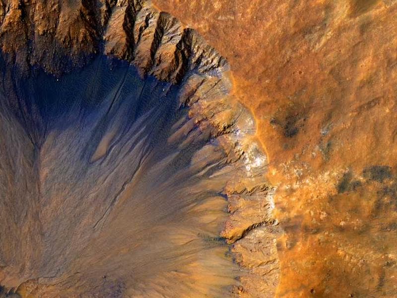 Licensed Rustic Silk Chips