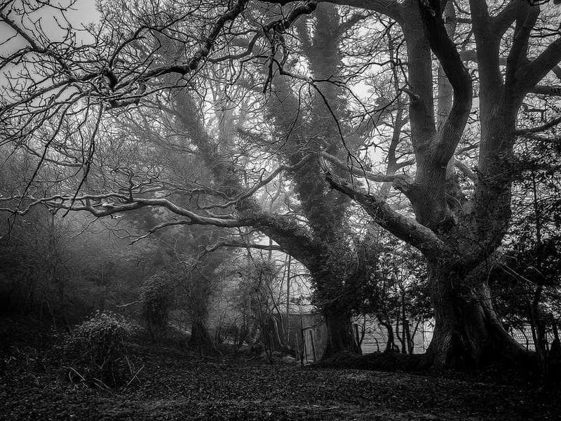 Sleek Soft Marble Bike