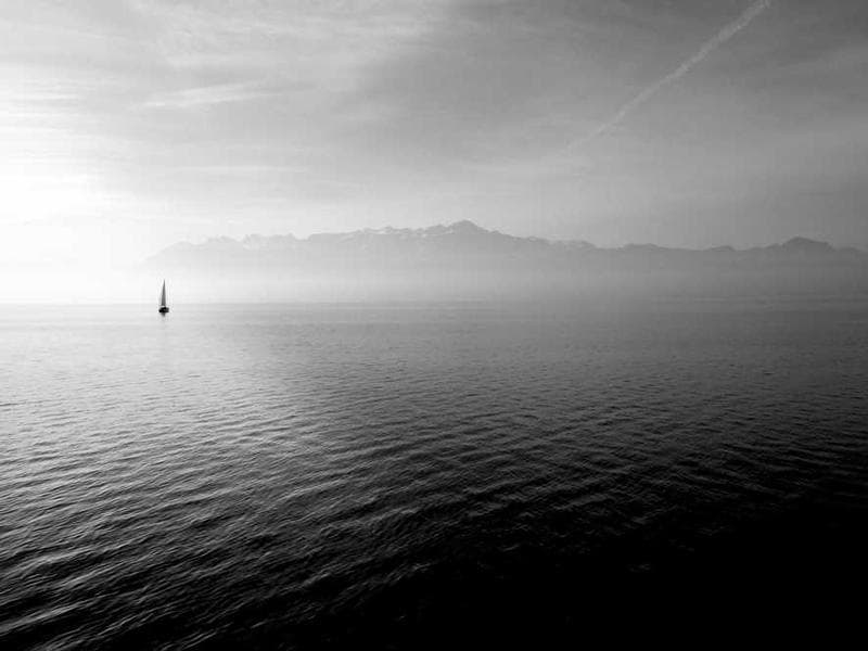 Fresh Awesome Rubber Sausages