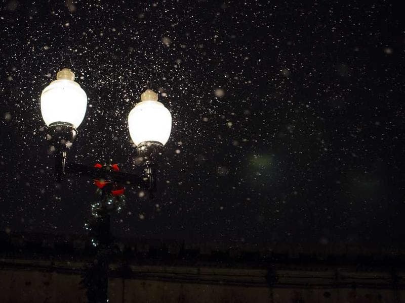 Fresh Awesome Rubber Sausages