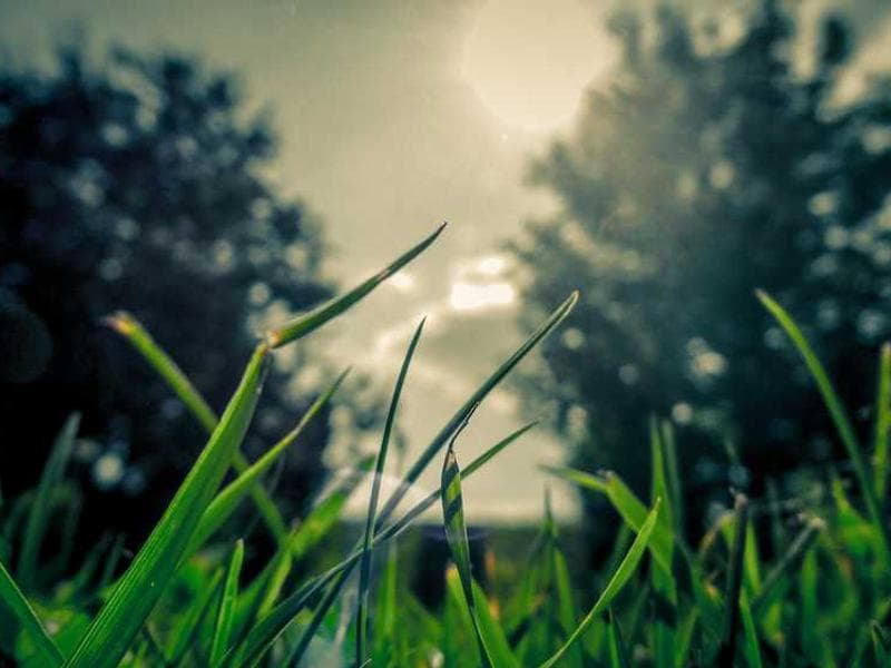 Electronic Awesome Steel Bike