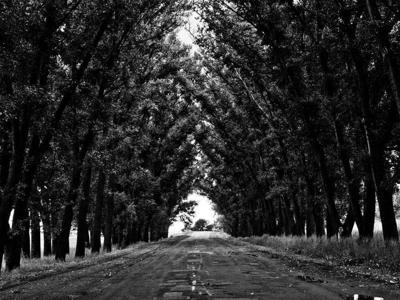 Awesome Incredible Granite Chips