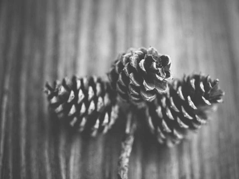 Fresh Practical Marble Bacon