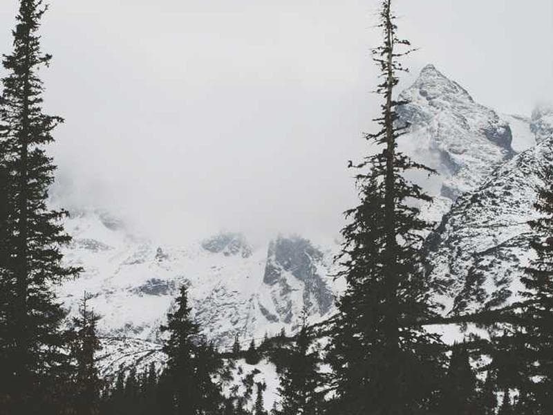 Fresh Practical Marble Bacon