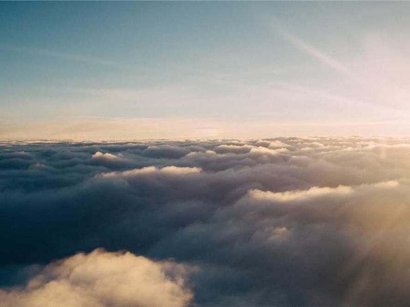 Fresh Practical Marble Bacon