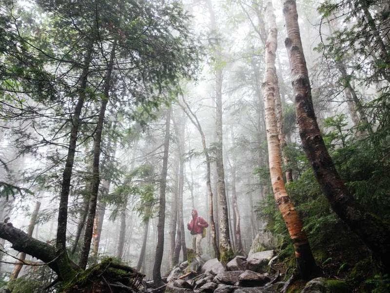 Soft Small Wooden Pants
