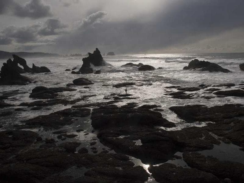 Soft Small Wooden Pants