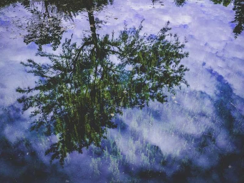 Electronic Sleek Gold Keyboard