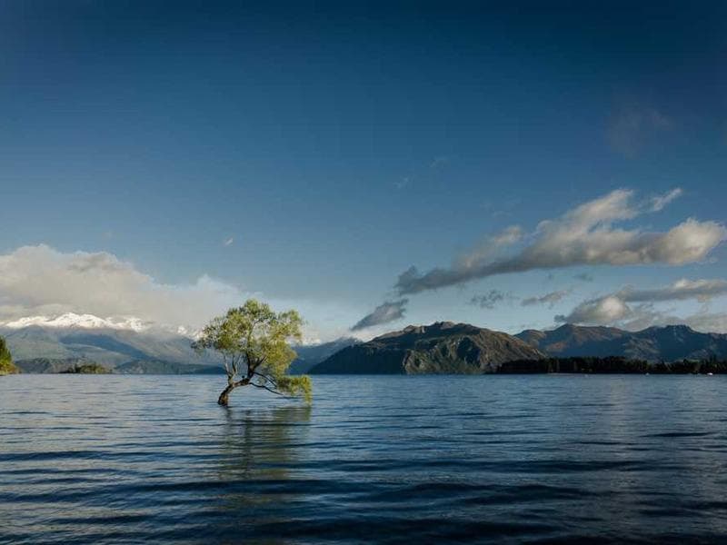 Ergonomic Handcrafted Bamboo Keyboard