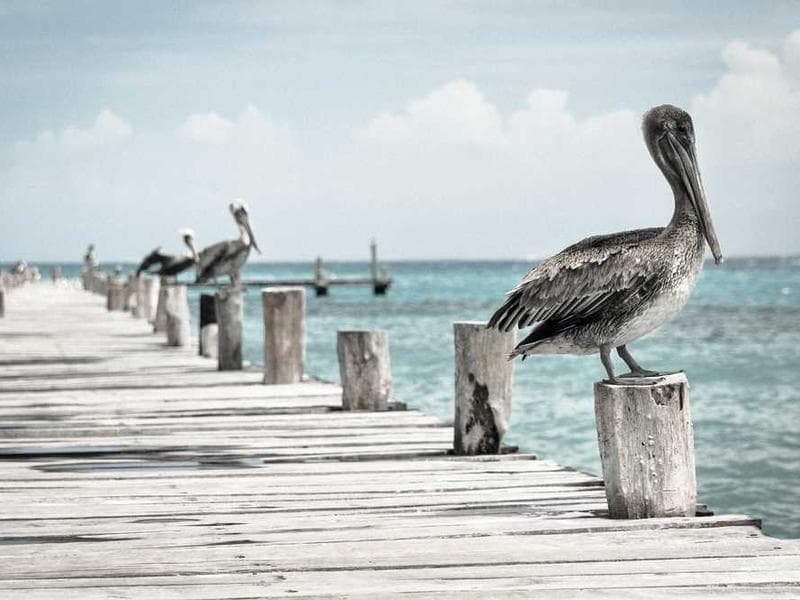 Rustic Electronic Bamboo Shirt
