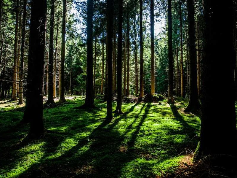 Modern Ergonomic Plastic Computer