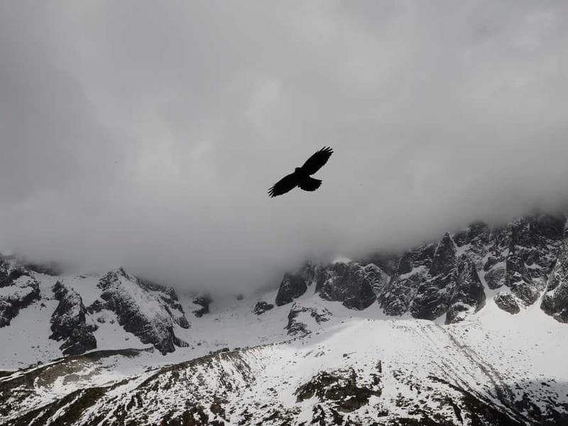 Modern Ergonomic Plastic Computer
