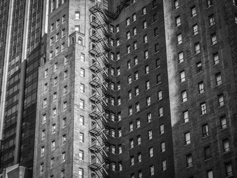 Fresh Handmade Gold Chips