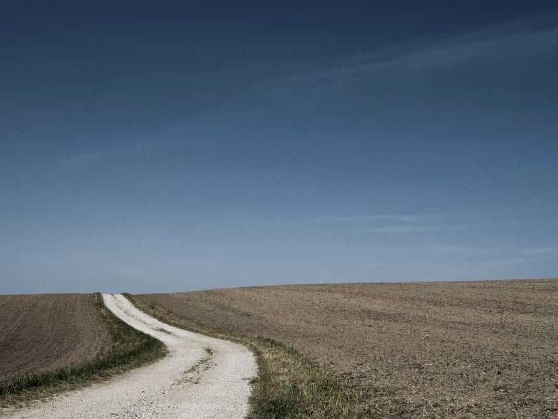 Fresh Handmade Gold Chips