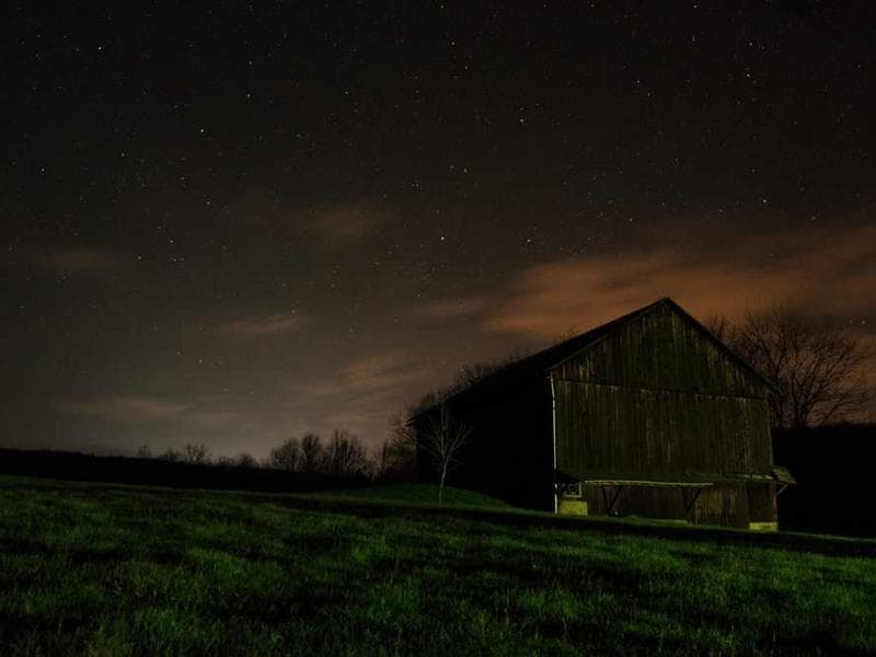 Luxurious Frozen Ceramic Chips