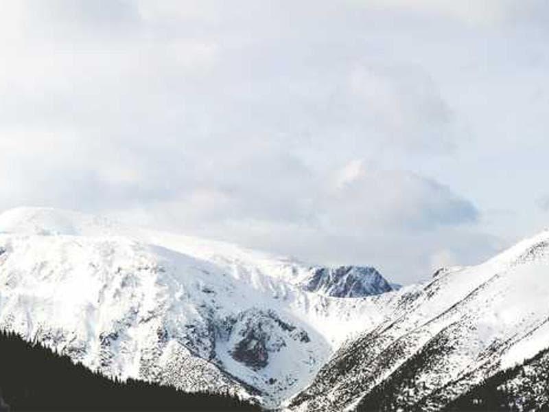 Luxurious Frozen Ceramic Chips