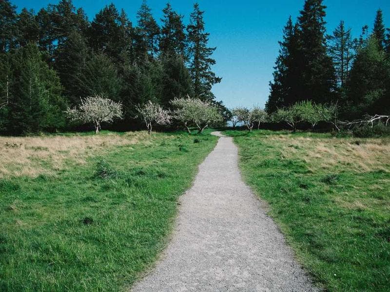 Recycled Recycled Plastic Ball