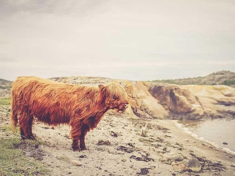Electronic Recycled Granite Table