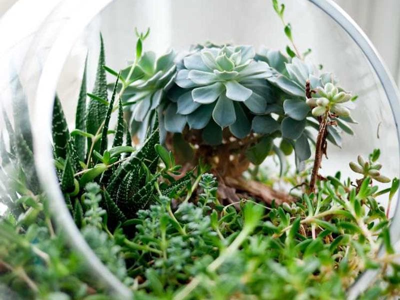 Incredible Rustic Marble Car