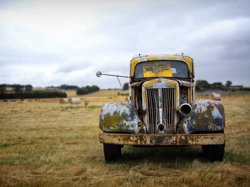 Modern Luxurious Cotton Mouse