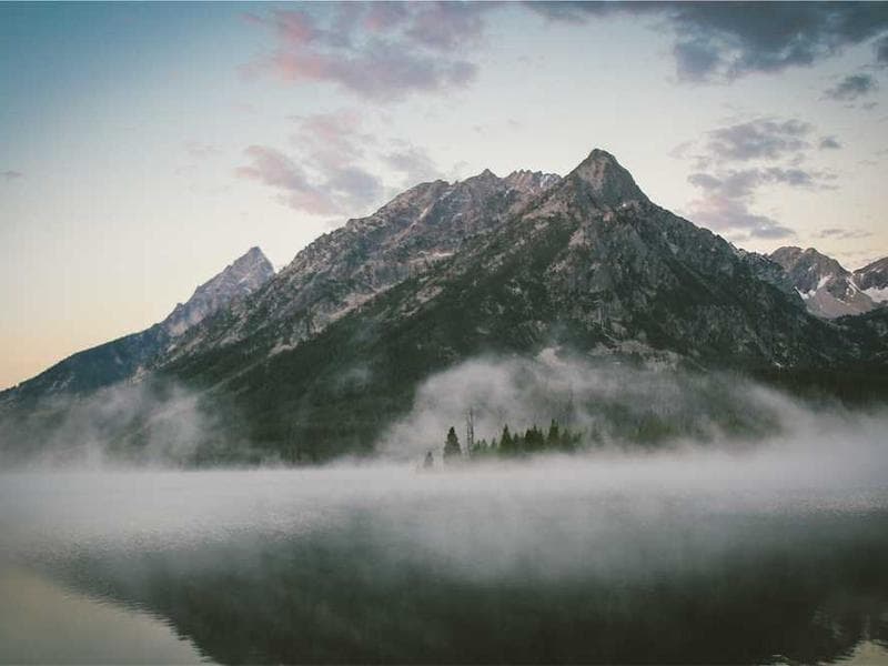 Frozen Fresh Cotton Table