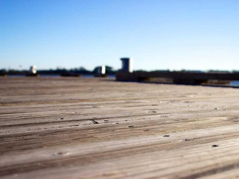 Electronic Luxurious Rubber Tuna