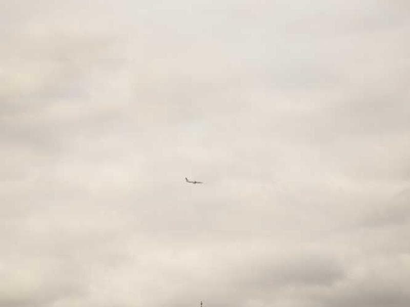 Electronic Luxurious Rubber Tuna