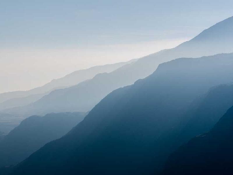 Electronic Rustic Bronze Chicken