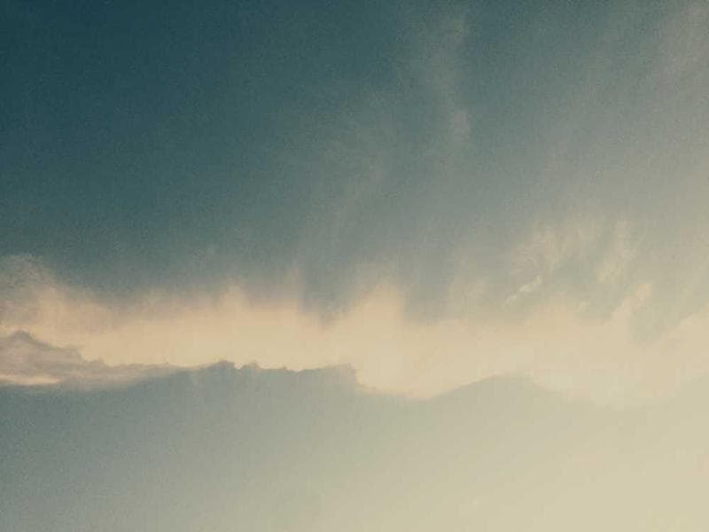 Electronic Rustic Bronze Chicken