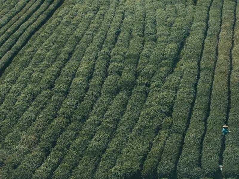 Sleek Ergonomic Granite Keyboard