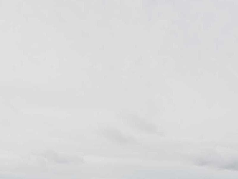 Practical Unbranded Silk Cheese