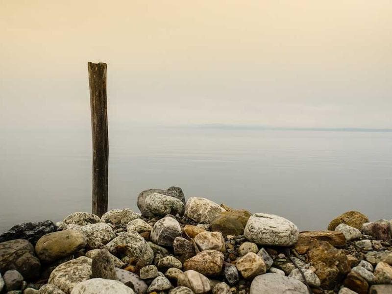 Frozen Soft Wooden Pants