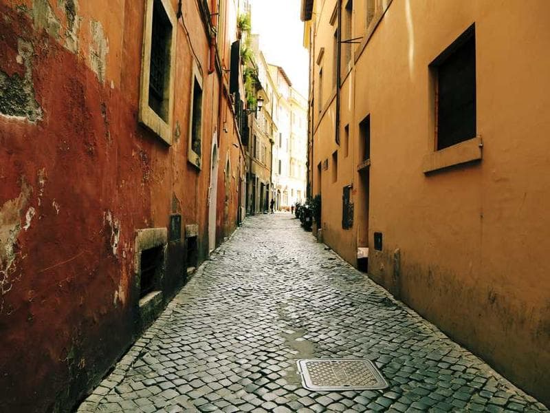 Frozen Soft Wooden Pants