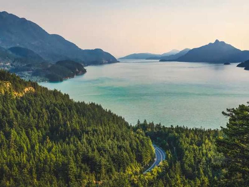 Frozen Soft Wooden Pants